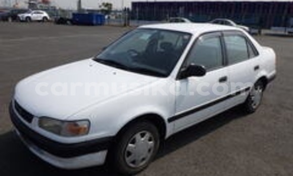 Tenga Tsaru Toyota Corolla Chena Mota in Beitbridge in Matabeleland South