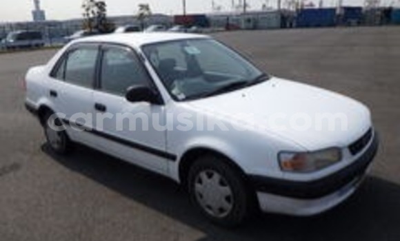 Nunua Ilio tumika Toyota Corolla Nyeupe Gari ndani ya Beitbridge nchini Matabeleland Kusini Nunua Ilio tumika Toyota Corolla Nyeupe Gari ndani ya Beitbridge nchini Matabeleland Kusini