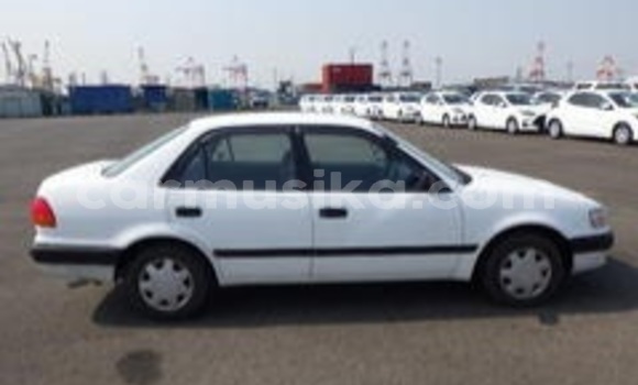 Nunua Ilio tumika Toyota Corolla Nyeupe Gari ndani ya Beitbridge nchini Matabeleland Kusini Nunua Ilio tumika Toyota Corolla Nyeupe Gari ndani ya Beitbridge nchini Matabeleland Kusini