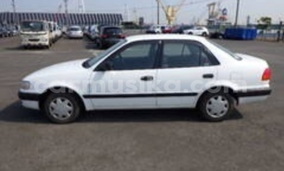 Nunua Ilio tumika Toyota Corolla Nyeupe Gari ndani ya Beitbridge nchini Matabeleland Kusini Nunua Ilio tumika Toyota Corolla Nyeupe Gari ndani ya Beitbridge nchini Matabeleland Kusini