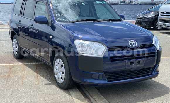 Buy Used Toyota Probox Other Car in Beitbridge in Matabeleland South