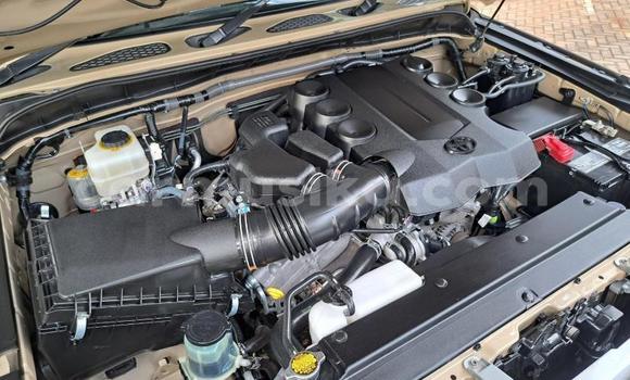 Buy Used Toyota FJ Cruiser Other Car in Beitbridge in Matabeleland South Buy Used Toyota FJ Cruiser Other Car in Beitbridge in Matabeleland South