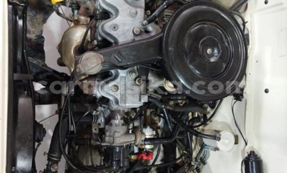 Buy Used Nissan Sunny Other Car in Beitbridge in Matabeleland South Buy Used Nissan Sunny Other Car in Beitbridge in Matabeleland South