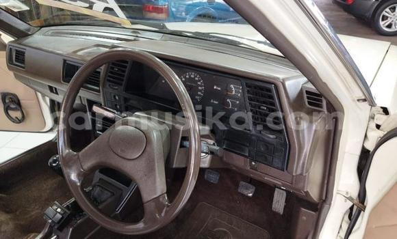 Buy Used Nissan Sunny Other Car in Beitbridge in Matabeleland South Buy Used Nissan Sunny Other Car in Beitbridge in Matabeleland South