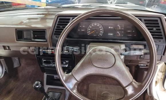 Buy Used Nissan Sunny Other Car in Beitbridge in Matabeleland South Buy Used Nissan Sunny Other Car in Beitbridge in Matabeleland South