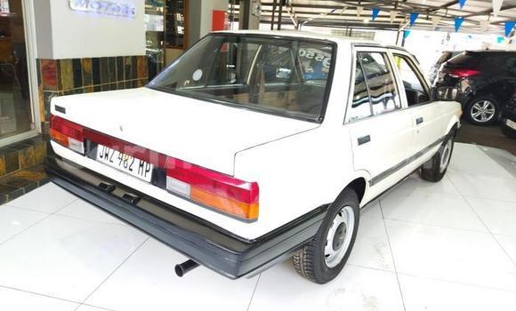 Buy Used Nissan Sunny Other Car in Beitbridge in Matabeleland South Buy Used Nissan Sunny Other Car in Beitbridge in Matabeleland South