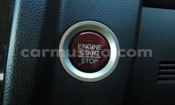 Buy Used Honda Fit Red Car in Beitbridge in Matabeleland South Buy Used Honda Fit Red Car in Beitbridge in Matabeleland South