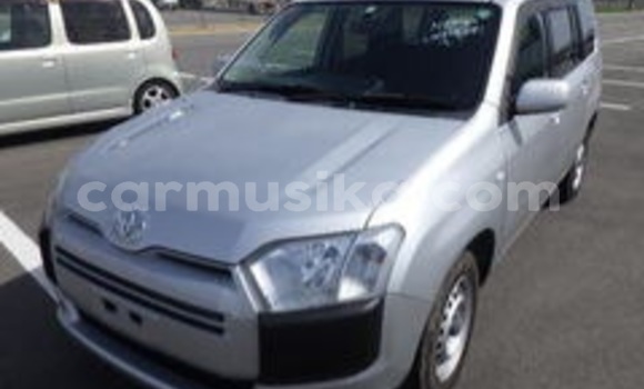 Acheter Occasion Voiture Toyota Probox Gris à Beitbridge, Matabeleland South Acheter Occasion Voiture Toyota Probox Gris à Beitbridge, Matabeleland South