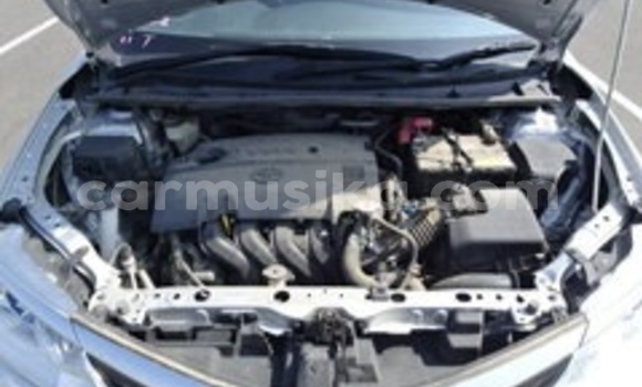 Acheter Occasion Voiture Toyota Corolla Gris à Beitbridge, Matabeleland South Acheter Occasion Voiture Toyota Corolla Gris à Beitbridge, Matabeleland South