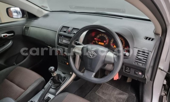 Acheter Occasion Voiture Toyota Corolla Gris à Beitbridge, Matabeleland South Acheter Occasion Voiture Toyota Corolla Gris à Beitbridge, Matabeleland South