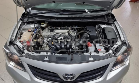 Acheter Occasion Voiture Toyota Corolla Gris à Beitbridge, Matabeleland South Acheter Occasion Voiture Toyota Corolla Gris à Beitbridge, Matabeleland South