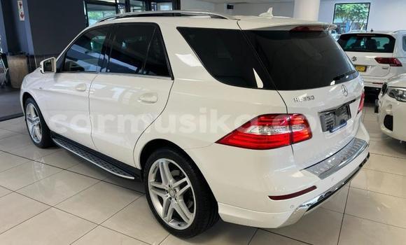Buy Used Mercedes‒Benz ML–Class White Car in Beitbridge in Matabeleland South Buy Used Mercedes‒Benz ML–Class White Car in Beitbridge in Matabeleland South