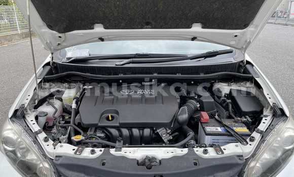 Acheter Occasion Voiture Toyota Wish Blanc à Beitbridge, Matabeleland South Acheter Occasion Voiture Toyota Wish Blanc à Beitbridge, Matabeleland South