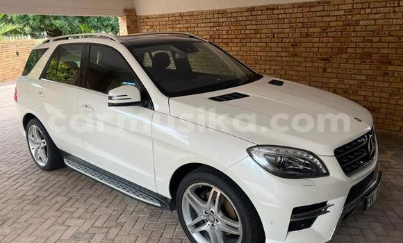 Tenga Tsaru Mercedes‒Benz ML–Class Chena Mota in Beitbridge in Matabeleland South