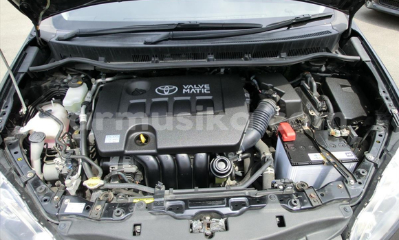 Buy Used Toyota Wish Black Car in Beitbridge in Matabeleland South Buy Used Toyota Wish Black Car in Beitbridge in Matabeleland South