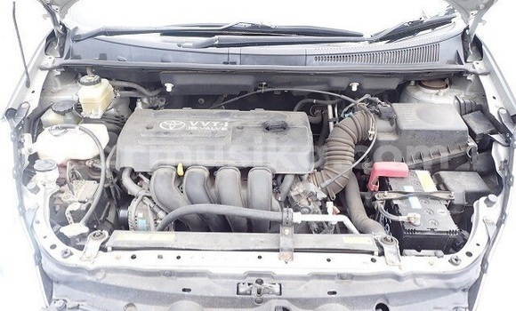 Nunua Ilio tumika Toyota Wish Fedha Gari ndani ya Beitbridge nchini Matabeleland Kusini Nunua Ilio tumika Toyota Wish Fedha Gari ndani ya Beitbridge nchini Matabeleland Kusini