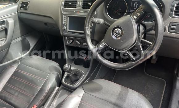 Buy Used Volkswagen Polo Red Car in Beitbridge in Matabeleland South Buy Used Volkswagen Polo Red Car in Beitbridge in Matabeleland South