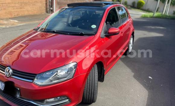 Buy Used Volkswagen Polo Red Car in Beitbridge in Matabeleland South Buy Used Volkswagen Polo Red Car in Beitbridge in Matabeleland South