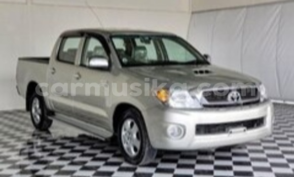 Acheter Occasion Voiture Toyota Hilux Gris à Beitbridge, Matabeleland South Acheter Occasion Voiture Toyota Hilux Gris à Beitbridge, Matabeleland South