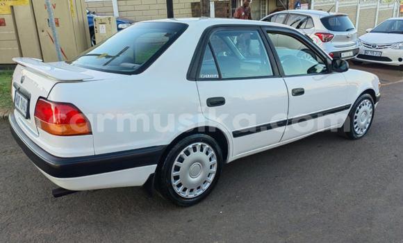 Buy Used Toyota Corolla White Car in Beitbridge in Matabeleland South Buy Used Toyota Corolla White Car in Beitbridge in Matabeleland South