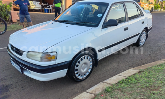Buy Used Toyota Corolla White Car in Beitbridge in Matabeleland South Buy Used Toyota Corolla White Car in Beitbridge in Matabeleland South