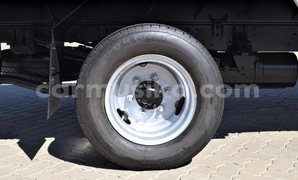 Nunua Ilio tumika Toyota Dyna Nyingine Lori ndani ya Beitbridge nchini Matabeleland Kusini Nunua Ilio tumika Toyota Dyna Nyingine Lori ndani ya Beitbridge nchini Matabeleland Kusini