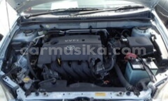 Acheter Occasion Voiture Toyota Runx Beige à Beitbridge, Matabeleland South Acheter Occasion Voiture Toyota Runx Beige à Beitbridge, Matabeleland South