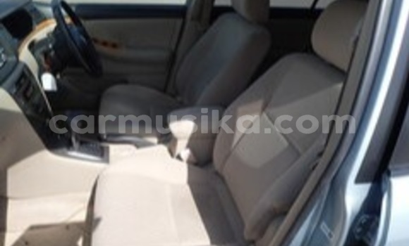 Acheter Occasion Voiture Toyota Runx Beige à Beitbridge, Matabeleland South Acheter Occasion Voiture Toyota Runx Beige à Beitbridge, Matabeleland South