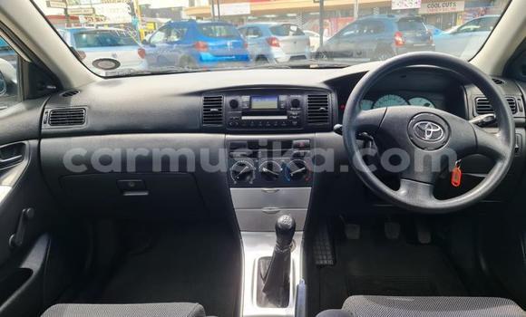 Acheter Occasion Voiture Toyota Runx Blanc à Beitbridge, Matabeleland South Acheter Occasion Voiture Toyota Runx Blanc à Beitbridge, Matabeleland South