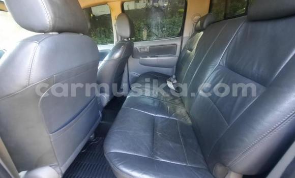 Buy Used Toyota Hilux Blue Car in Beitbridge in Matabeleland South Buy Used Toyota Hilux Blue Car in Beitbridge in Matabeleland South