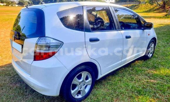 Buy Used Honda Jazz White Car in Beitbridge in Matabeleland South Buy Used Honda Jazz White Car in Beitbridge in Matabeleland South