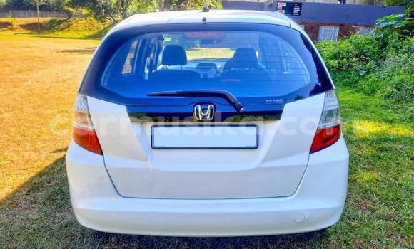 Buy Used Honda Jazz White Car in Beitbridge in Matabeleland South Buy Used Honda Jazz White Car in Beitbridge in Matabeleland South