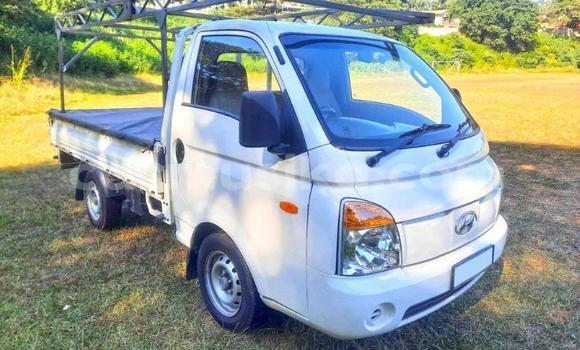 Nunua Ilio tumika Hyundai H200 Nyeupe Lori ndani ya Beitbridge nchini Matabeleland Kusini