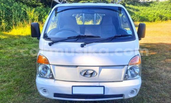 Acheter Occasion Utilitaire Hyundai H200 Blanc à Beitbridge, Matabeleland South Acheter Occasion Utilitaire Hyundai H200 Blanc à Beitbridge, Matabeleland South