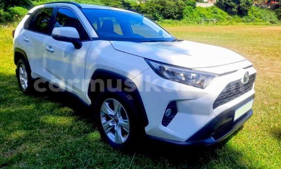 Nunua Ilio tumika Toyota RAV4 Nyeupe Gari ndani ya Beitbridge nchini Matabeleland Kusini
