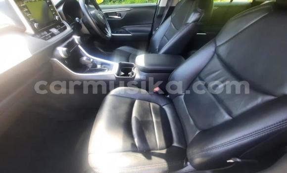 Buy Used Toyota RAV4 White Car in Beitbridge in Matabeleland South Buy Used Toyota RAV4 White Car in Beitbridge in Matabeleland South