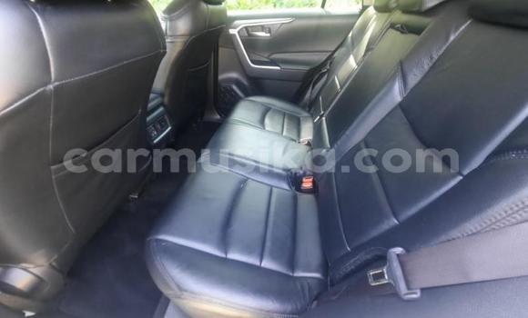 Buy Used Toyota RAV4 White Car in Beitbridge in Matabeleland South Buy Used Toyota RAV4 White Car in Beitbridge in Matabeleland South