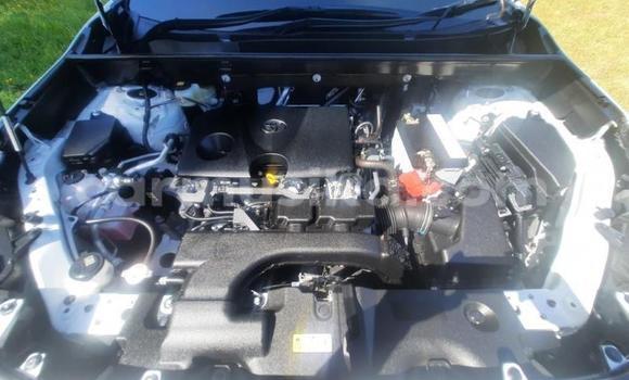 Buy Used Toyota RAV4 White Car in Beitbridge in Matabeleland South Buy Used Toyota RAV4 White Car in Beitbridge in Matabeleland South