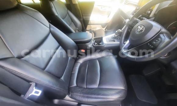Buy Used Toyota RAV4 White Car in Beitbridge in Matabeleland South Buy Used Toyota RAV4 White Car in Beitbridge in Matabeleland South