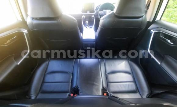 Buy Used Toyota RAV4 White Car in Beitbridge in Matabeleland South Buy Used Toyota RAV4 White Car in Beitbridge in Matabeleland South