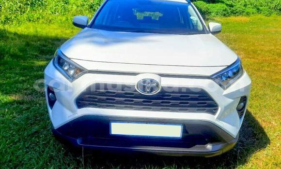 Buy Used Toyota RAV4 White Car in Beitbridge in Matabeleland South Buy Used Toyota RAV4 White Car in Beitbridge in Matabeleland South