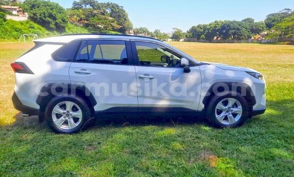 Buy Used Toyota RAV4 White Car in Beitbridge in Matabeleland South Buy Used Toyota RAV4 White Car in Beitbridge in Matabeleland South
