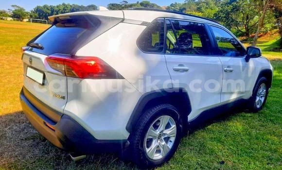 Buy Used Toyota RAV4 White Car in Beitbridge in Matabeleland South Buy Used Toyota RAV4 White Car in Beitbridge in Matabeleland South