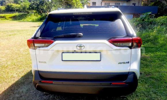 Buy Used Toyota RAV4 White Car in Beitbridge in Matabeleland South Buy Used Toyota RAV4 White Car in Beitbridge in Matabeleland South