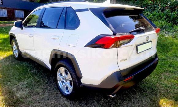 Buy Used Toyota RAV4 White Car in Beitbridge in Matabeleland South Buy Used Toyota RAV4 White Car in Beitbridge in Matabeleland South