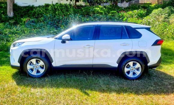 Buy Used Toyota RAV4 White Car in Beitbridge in Matabeleland South Buy Used Toyota RAV4 White Car in Beitbridge in Matabeleland South