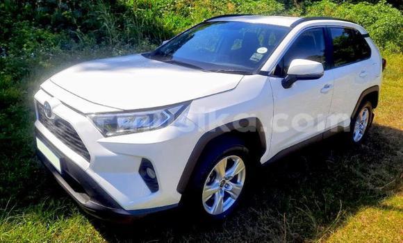 Buy Used Toyota RAV4 White Car in Beitbridge in Matabeleland South Buy Used Toyota RAV4 White Car in Beitbridge in Matabeleland South