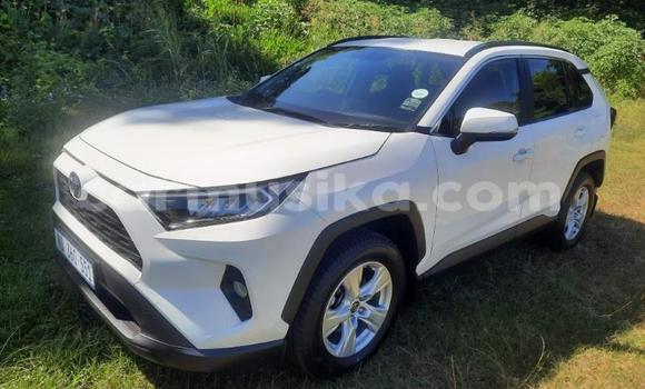 Buy Used Toyota RAV4 White Car in Beitbridge in Matabeleland South Buy Used Toyota RAV4 White Car in Beitbridge in Matabeleland South