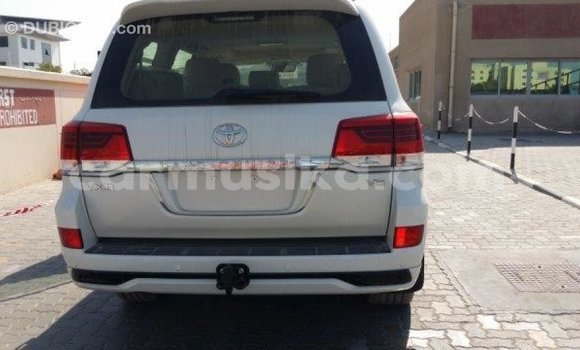 Buy Import Toyota Land Cruiser White Car in Import - Dubai in Harare Buy Import Toyota Land Cruiser White Car in Import - Dubai in Harare