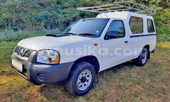 Buy Used Nissan Hardbody White Car in Beitbridge in Matabeleland South
